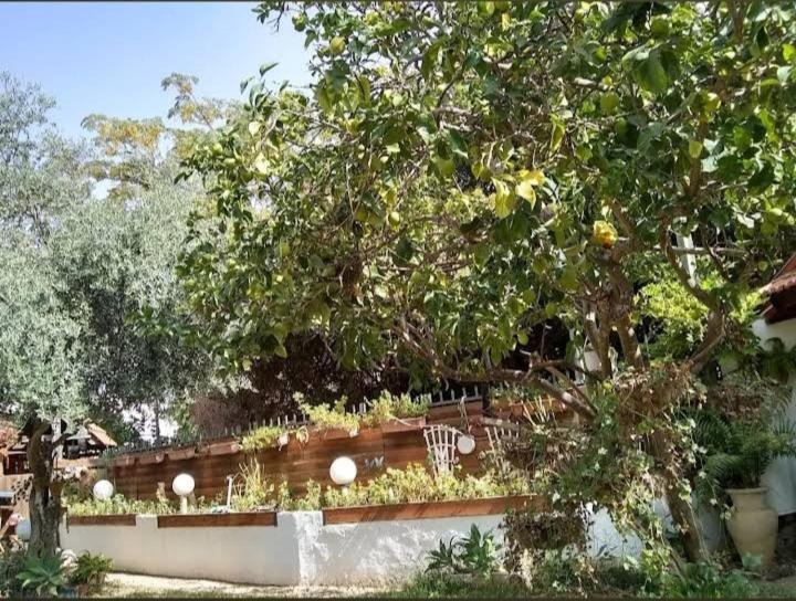 Czarina Cabin הבקתה הקיסרית והדירה הקיסרית Czarina Apartment Caesarea Buitenkant foto