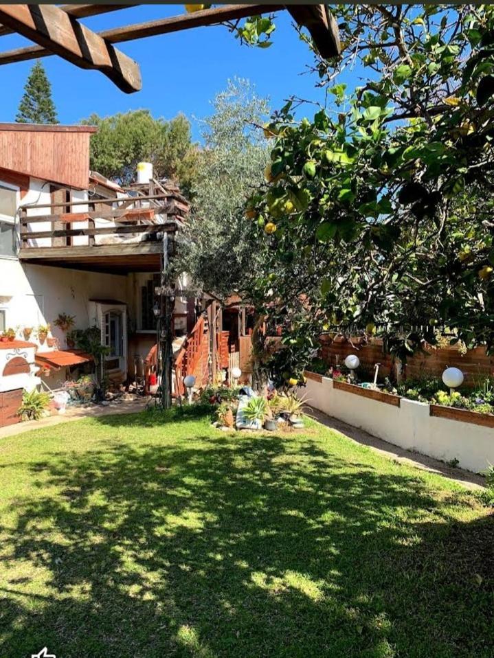 Czarina Cabin הבקתה הקיסרית והדירה הקיסרית Czarina Apartment Caesarea Buitenkant foto